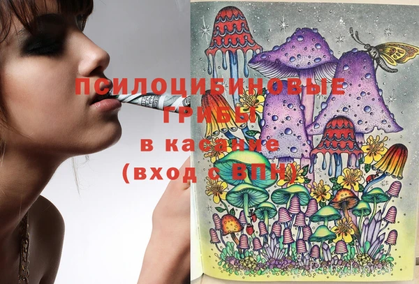 мяу мяу кристалл Ельня